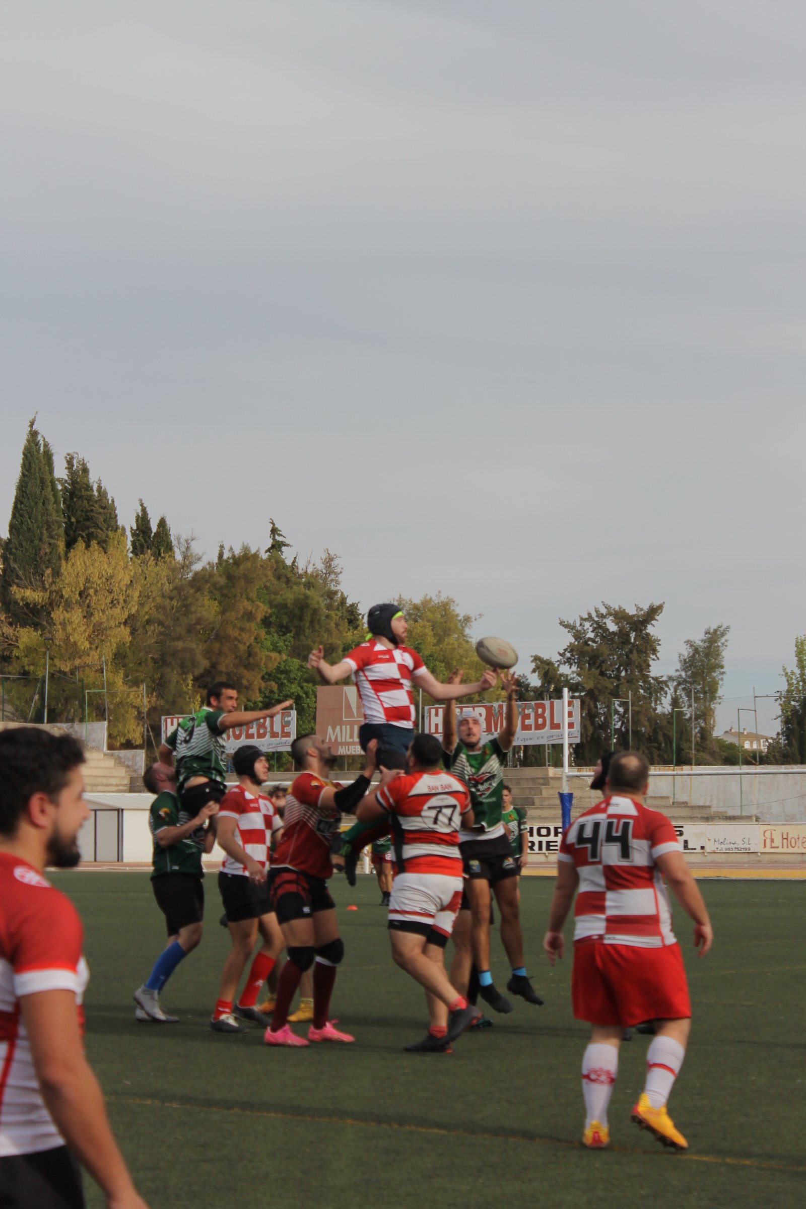 Foto de V Torneo Feria Úbeda 2025